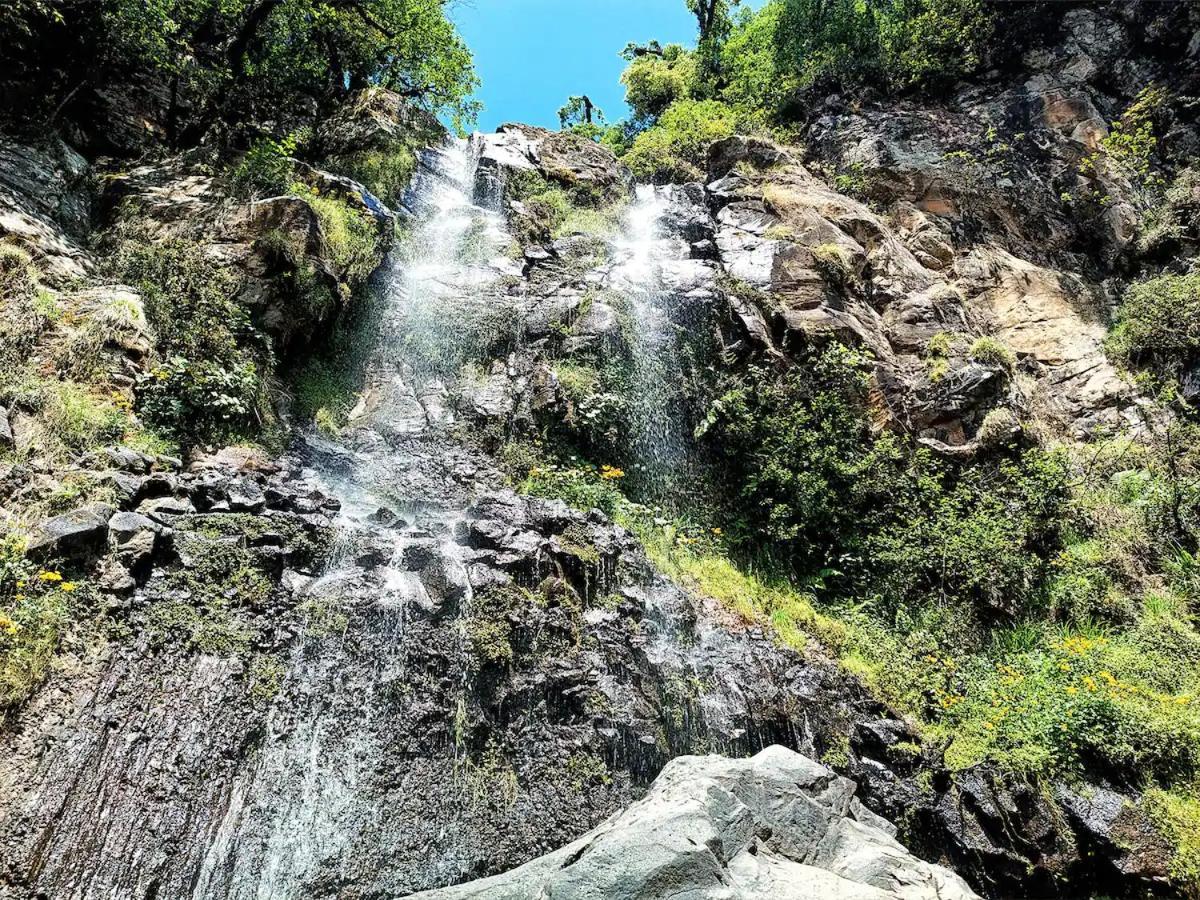 Cabana Para Pareja En El Bosque Ib Acaxochitlan ภายนอก รูปภาพ