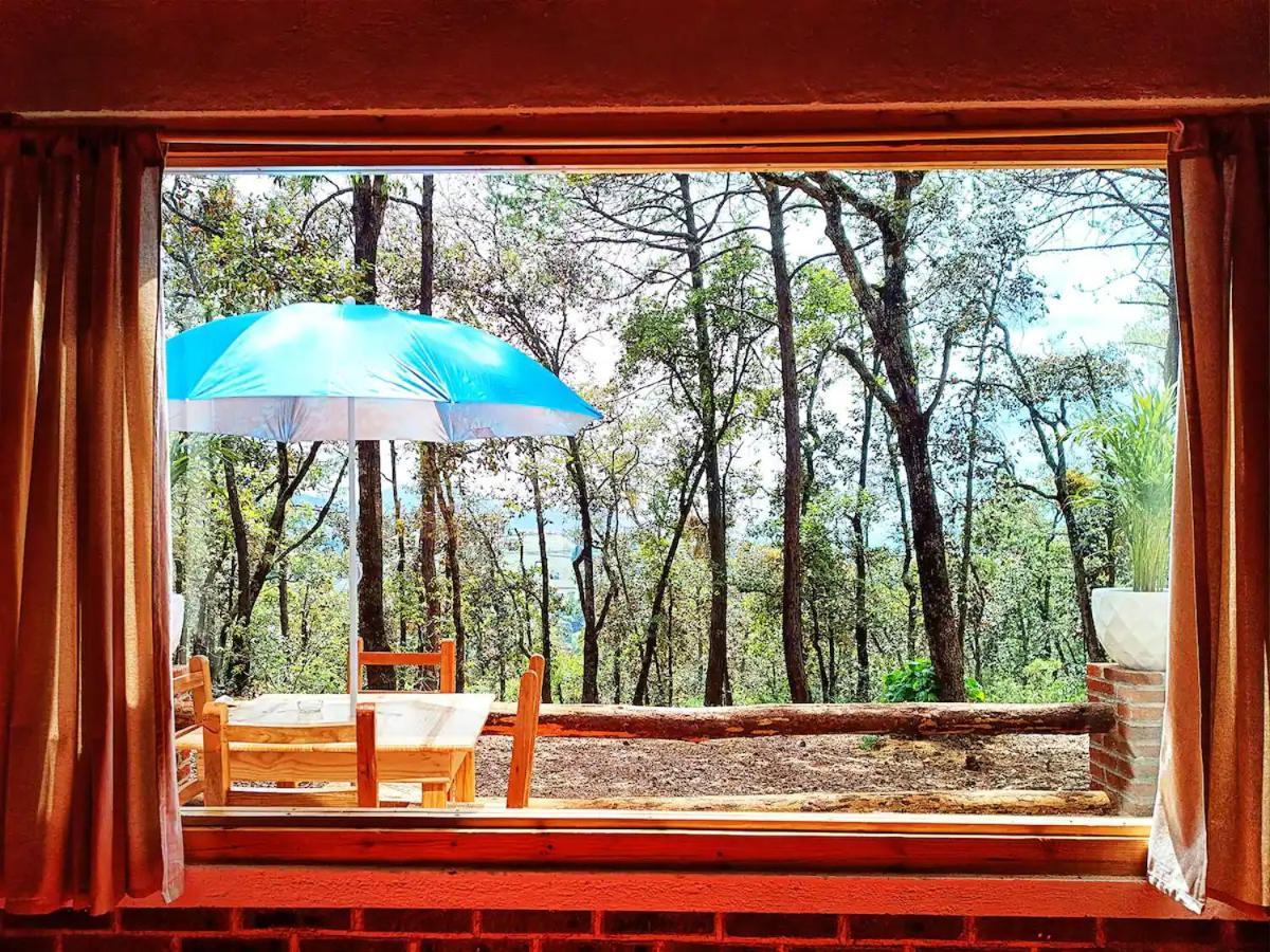 Cabana Para Pareja En El Bosque Ib Acaxochitlan ภายนอก รูปภาพ